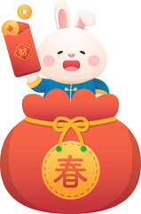 Cute bunny character or mascot, Chinese lunar new year elements, gold coins and red paper bag, vector cartoon style