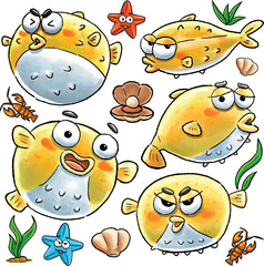 Isolated Funny Pufferfish