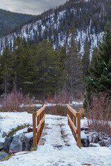 Obraz na płótnie Canvas bridge in winter