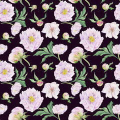 Watercolor seamless pattern with hand drawn delicate pink peony flowers, buds and leaves. Isolated on color background. For invitations, wedding, love or greeting cards, paper, print, textile