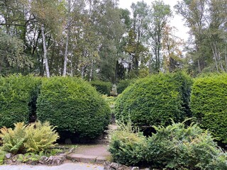 autumn colorful trees and bushes in the park on a sunny day