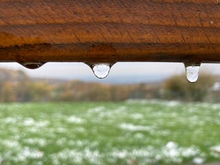 frozen drops hanging from a brown wooden board 