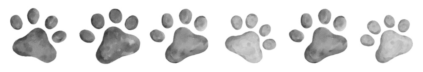 cat paw prints random row pattern for border in black and white watercolor graphic element - 547881081