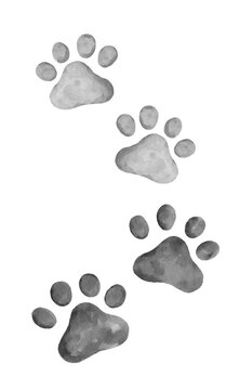 4 cat paw prints border in black and white