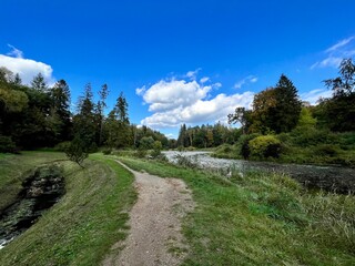 pond covered with plants around the park with different colors of trees and bushes in autumn