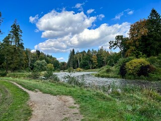 pond covered with plants around the park with different colors of trees and bushes in autumn