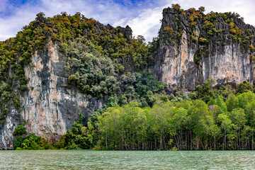 Rocks overgrown with forest next to mangroves in Kilim Geoforest Park, Langkawi, Malaysia....
