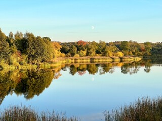 a body of water covered with plants around a park with different colors of trees and bushes in autumn