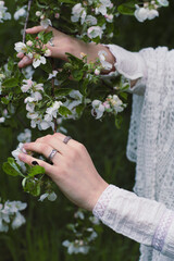Fototapeta na wymiar Close up hands on blooming branch concept photo. Springtime blossoming. Side view photography with female hands on background. High quality picture for wallpaper, travel blog, magazine, article