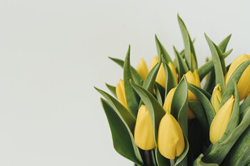 Fototapeta Delicate yellow tulip flowers bouquet on white background. Minimalist bohemian floral composition obraz