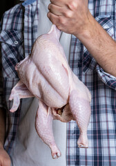 A male cook cuts fresh homemade chicken on a wooden board. Butchering the chicken in part breast, wings, legs.