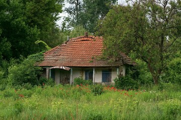 Obraz premium An old barn standing alone in the field of a farm. Rustic, weather-worn barns.