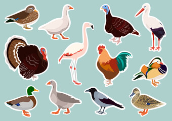 Vector birds stickers, icons big set of wild and domestic birds, illustration of ducks, turkeys, flamingo, crow, geese, rooster, stork for children
