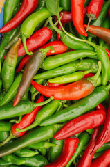 pepper in a box. Red and green bitter fresh pepper in a box, a row in a grocery store, supermarket. Local store concept