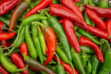 pepper in a box. Red and green bitter fresh pepper in a box, a row in a grocery store, supermarket. Local store concept