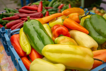 pepper in a box. Red and yellow fresh sweet bell peppers in a box, a row in a grocery store, supermarket. Local store concept