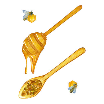 Watercolor illustration with a wooden spoon and a honey drop, and a spoon with pollen, bees. isolate.