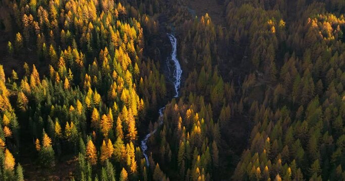 Aerial view rising over pristine autumn woodland waterfall cascading through Ahrntal Casere valley, South Tyrol