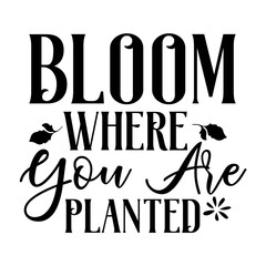 Bloom Where You Are Planted