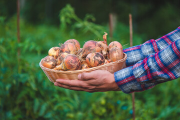 the farmer holds a bow in his hands.