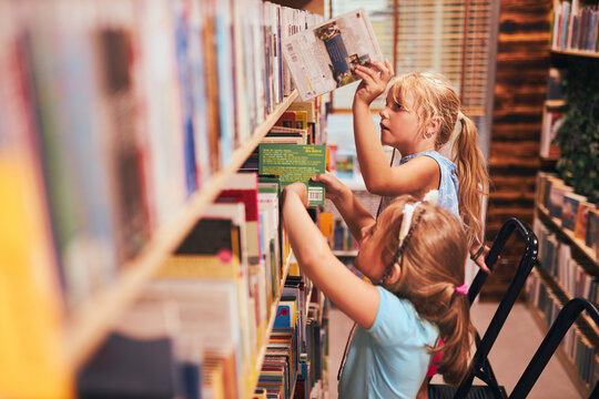 Schoolgirls looking for books in school library. Students choosing set books. Elementary education. Doing homework. Back to school