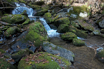 이끼 낀 계곡에 흐르는 맑은 물과 폭포