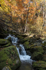 가을 단풍과 이끼 낀 바위 사이를 흐르는 맑은 물