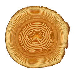 Fototapeta premium wooden platform, Wooden texture, tree rings.