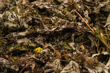 Dry tea leaves as a background.