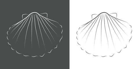 Logo marisco. Concha de vieira lineal aislada