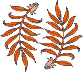 Beautiful plants and flowers illustration in colorful line art style, floral illustration, pattern, fabric printing