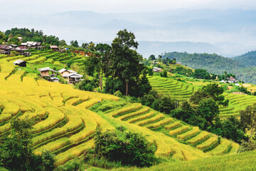 landscape of Rice terrace at Ban pa bong piang in Chiang mai Thailand