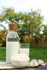 Tasty fresh milk and cottage cheese on wooden table outdoors