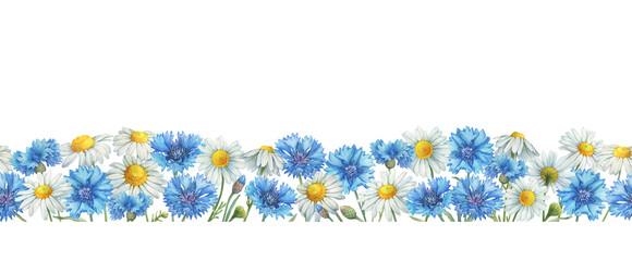 Seamless pattern, border, frame with blue cornflower flower (knapweed or bluett) and Matricaria chamomilla (kamilla, mother's daisy). Watercolor hand drawn painting illustration, isolated on white - obrazy, fototapety, plakaty