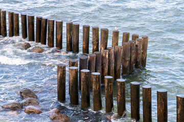 Wooden pillars as a part of breakwater structure,