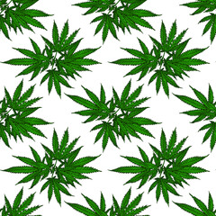 Hemp plant pattern. Cannabis branch with leaves. Marijuana twig vector seamless pattern on white background