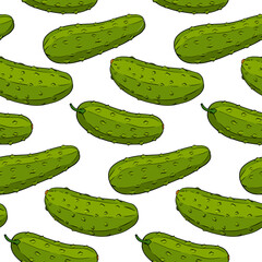 Vector cucumber pattern. Vegetable colored pattern. Detailed cucumbers drawing. Farm market product.