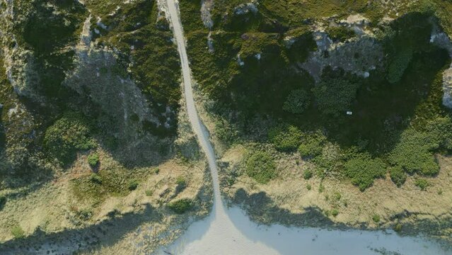 Aerial view of dunes landscape with white sand path leading to the beach. National park in the Wadden sea in Sylt, Germany.