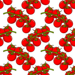 Red tomato seamless pattern. Vector pattern isolated on white background. Realism vegetable.