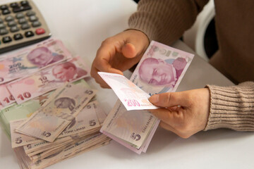 Turkish Lira, Turkish Money, Turkish Coins ( Turkish Turk Lirasi )