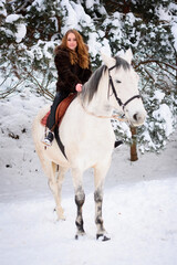 Fototapeta na wymiar Sports winter horse races. Olympic games and training