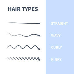 Straight, wavy, curly, kinky hair types classification system set. Detailed human hair growth style chart. Health care and beauty concept. Vector illustration.