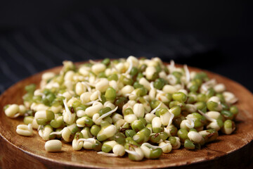 Wooden plate with sprouted green mung beans on dark background, closeup