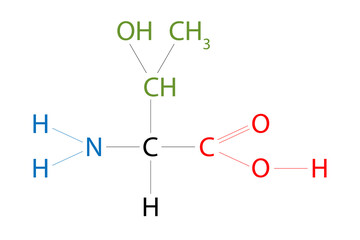 The structure of Threonine. Threonine is an amino acid that has a side chain containing a hydroxyl group.