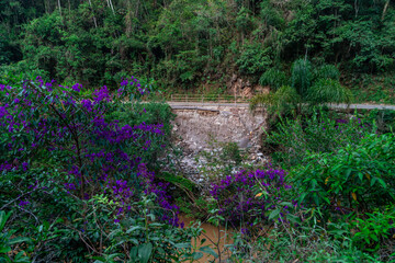 asphalt road damaged by a landslide in a mountain area