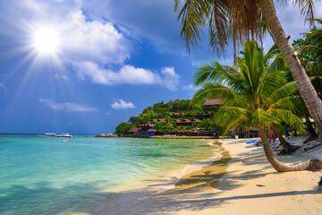 Fototapeta na wymiar Coconut palms on tropical Haad Yao beach, Koh Phangan island, Su