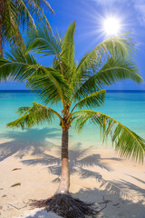 Obraz na płótnie Canvas Coconut palms on tropical Haad Yao beach, Koh Phangan island, Su