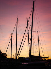 sunset in the harbor