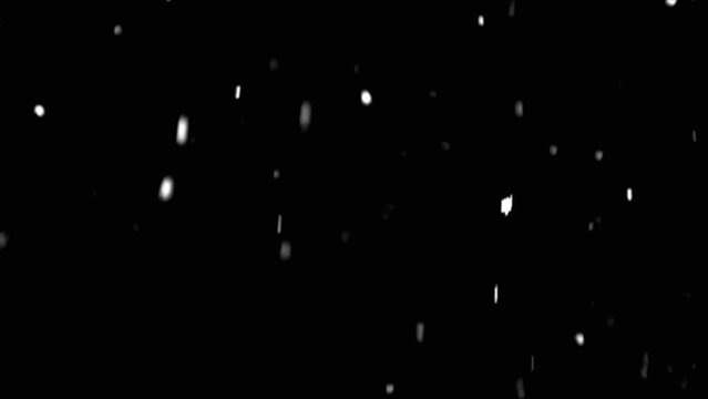 falling snow on the black backgrounds