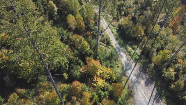 Aerial video of Beskidy Mountains, Poland covered with forest and a road